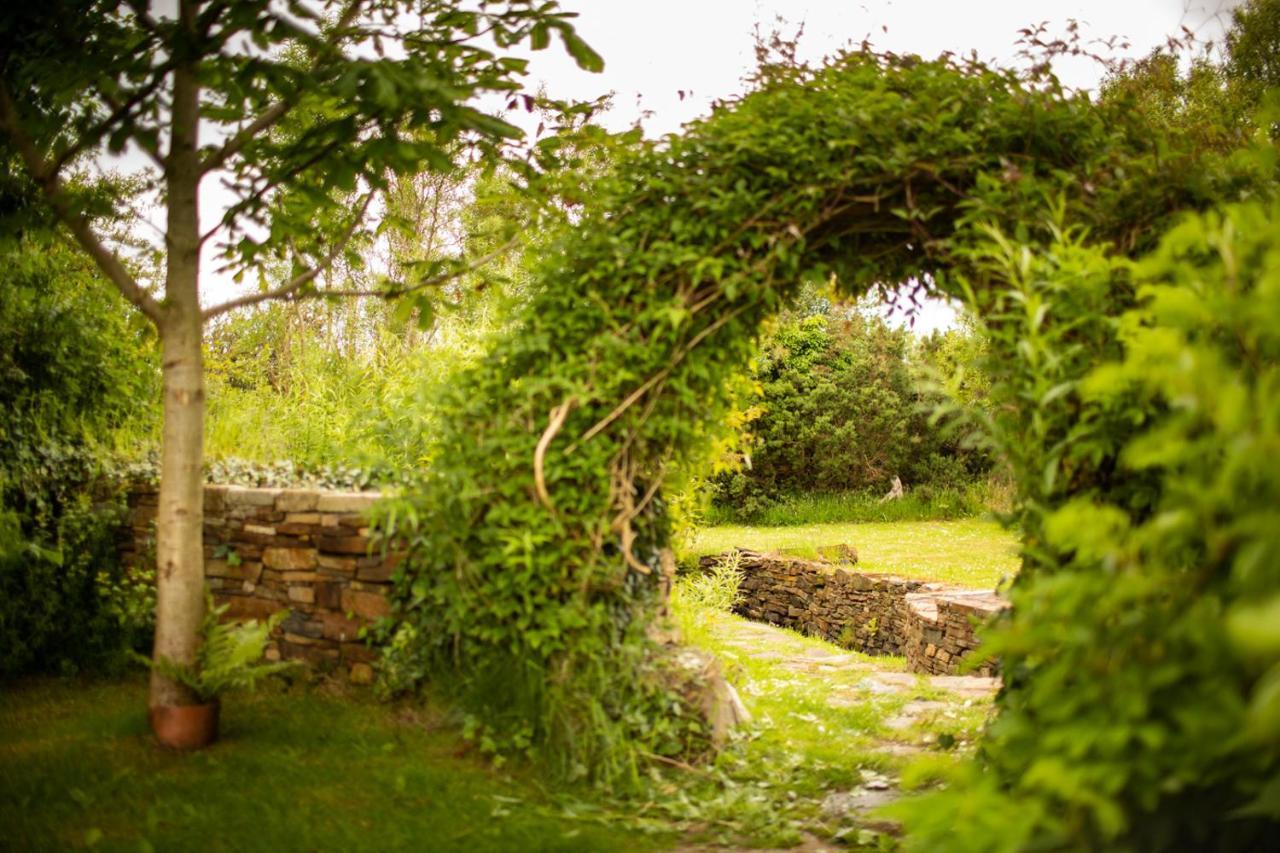 Corcreggan Mill B&B & Self-Catered Accommodation Dunfanaghy Exteriör bild
